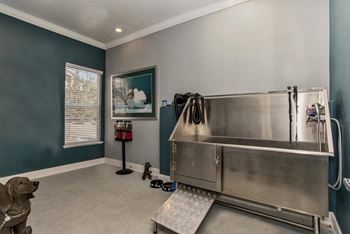Dog wash and self-service grooming area